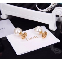 Best Product Dior Earrings CE5182