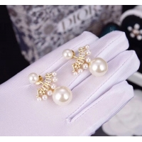 Good Quality Dior Earrings CE5229