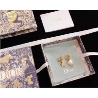 Best Luxury Dior Earrings CE5358