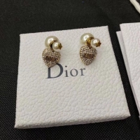 Good Product Dior Earrings CE5362