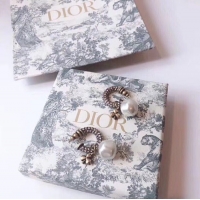 New Style Dior Earrings CE5363