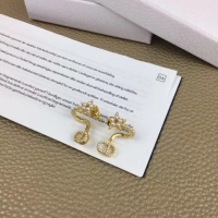 Best Grade Dior Earrings CE5365