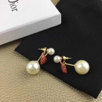 Good Quality Dior Earrings CE5369