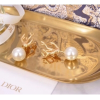 Pretty Style Dior Earrings CE5437