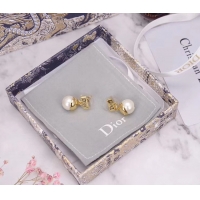 Good Quality Dior Earrings CE5444