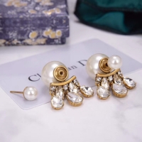 Good Looking Dior Earrings CE5456