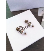 Discount Dior Earrings CE5555