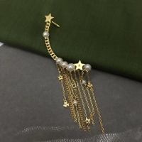 Good Quality Dior Earrings CE5559