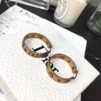 Super Quality Dior Earrings CE5668