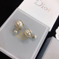 Top Quality Dior Earrings CE5669