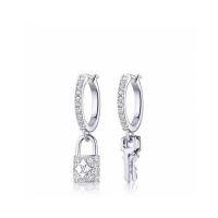 Fashion Louis Vuitton Earrings CE5581