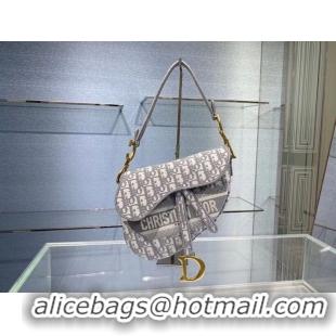 Super Quality SADDLE BAG Dior Oblique Embroidered Velvet C0044 gray