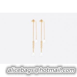 Luxury Dior Earrings CE5793