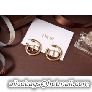 Trendy Design Dior Earrings CE5837