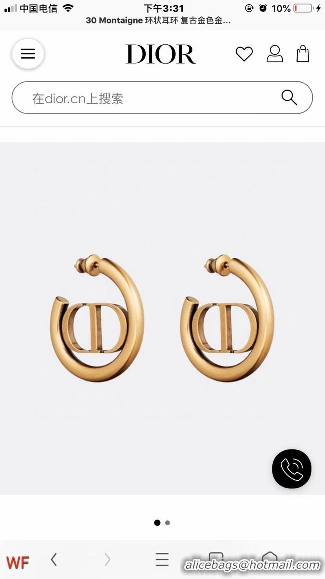 Trendy Design Dior Earrings CE5837