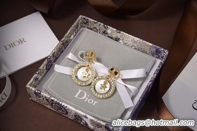 Most Popular Dior Earrings CE5873