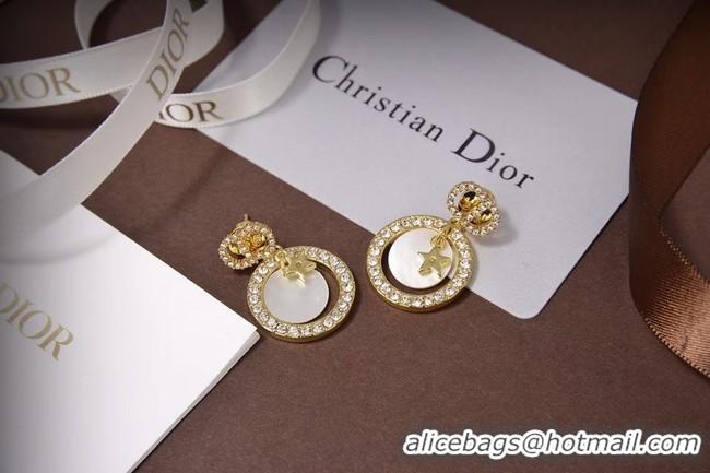 Most Popular Dior Earrings CE5873