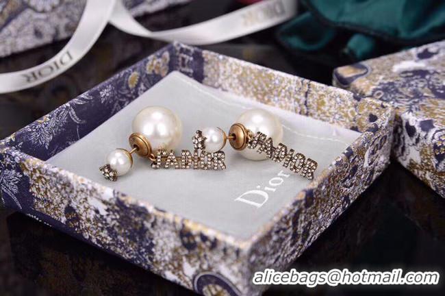 Unique Style Dior Earrings CE5875