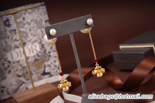 Charming Dior Earrings CE5876