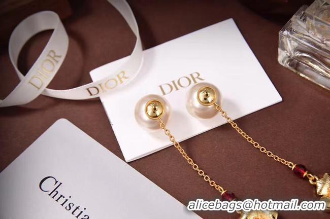 Charming Dior Earrings CE5876