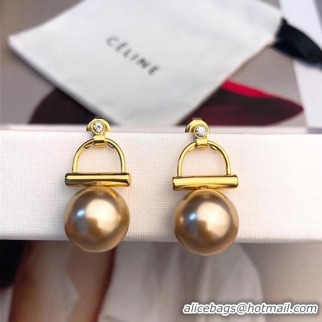 Stylish CELINE Earrings CE5599