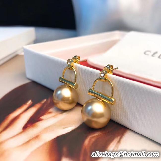 Stylish CELINE Earrings CE5599