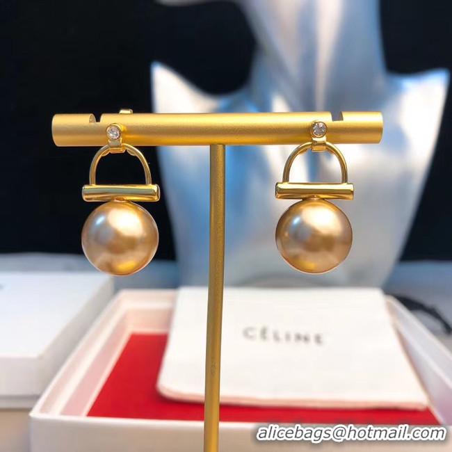 Stylish CELINE Earrings CE5599