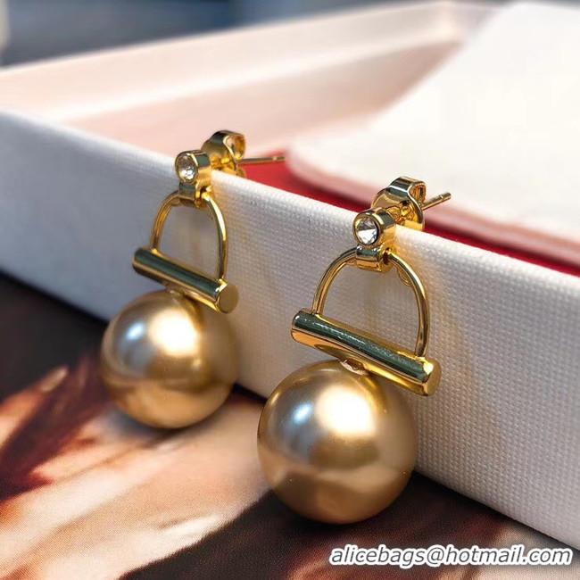 Stylish CELINE Earrings CE5599