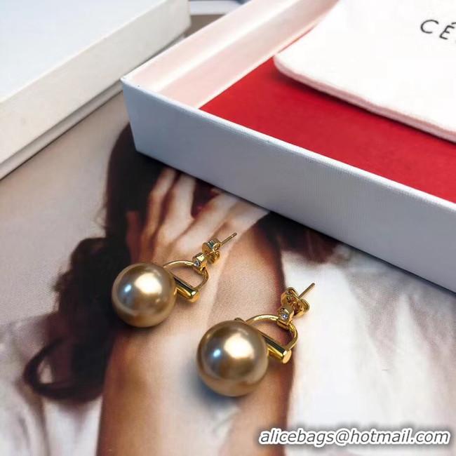 Stylish CELINE Earrings CE5599