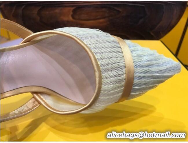 Perfect Fendi Colibri Strap Slingback in Champagne Gold Tulle Mesh 122128