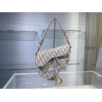 Super Quality SADDLE BAG Dior Oblique Embroidered Velvet C0044 gray