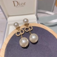 Best Grade Dior Earrings CE5868