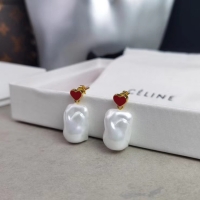 Perfect CELINE Earrings CE5603