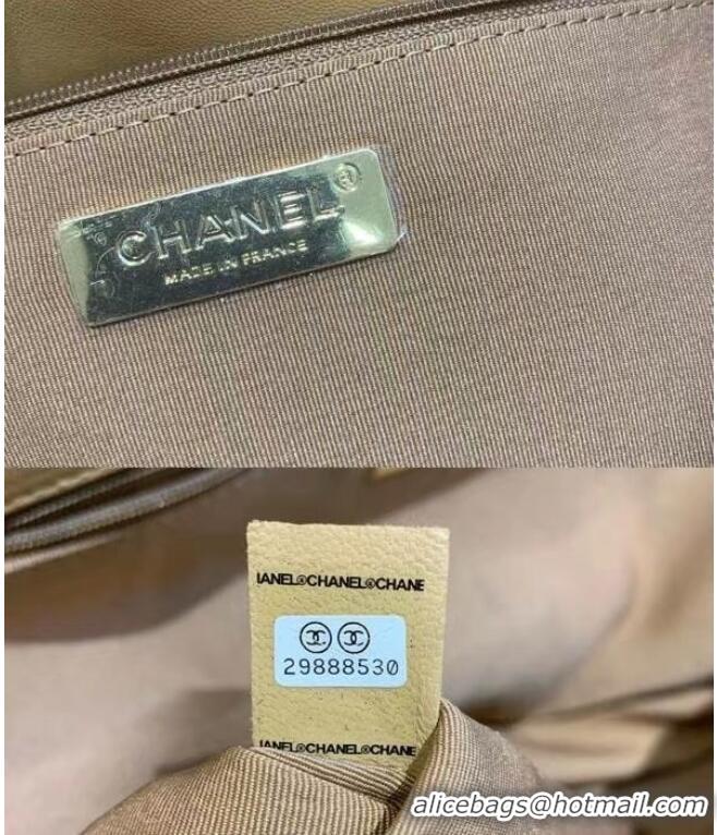 Free Shipping Promotional Chanel 19 Large Flap Bag AS1162 Apricot