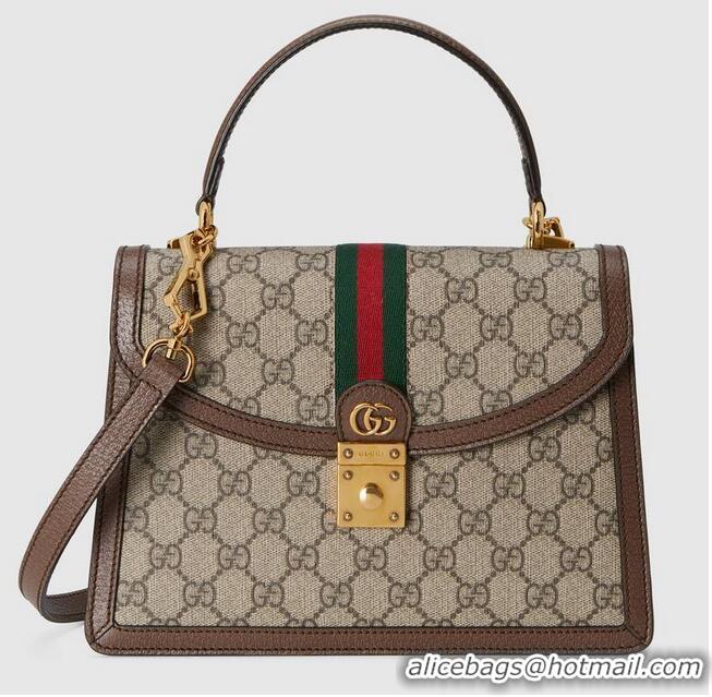 Pretty Style Gucci Ophidia small top handle bag with Web 651055 brown