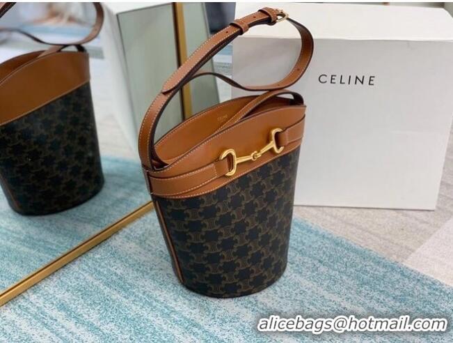 Top Grade CELINE MEDIUM TAMBOUR BAG IN TRIOMPHE CANVAS 192072 brown