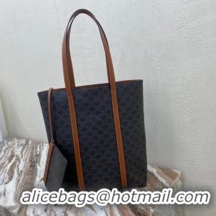 Top Quality CELINE LARGE BAG IN TRIOMPHE CANVAS 201229