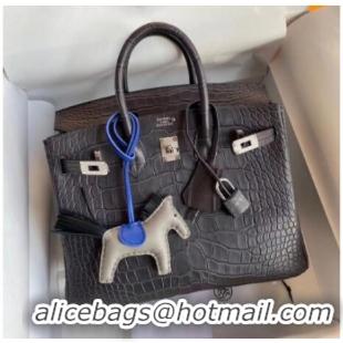 Luxury Discount Hermes Birkin 25CM Tote Bag Original Croco Leather H25TCO Grey