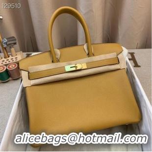 Popular Style Hermes Birkin 25CM Tote Bag Original Leather H25T Yellow