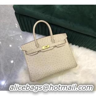 Well Crafted Hermes Birkin Bag Original Leather Ostrich skin HBK2530 cream