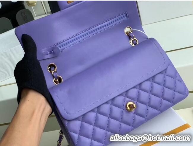 Top Discount Chanel classic handbag Lambskin & gold Metal A01112 Purple