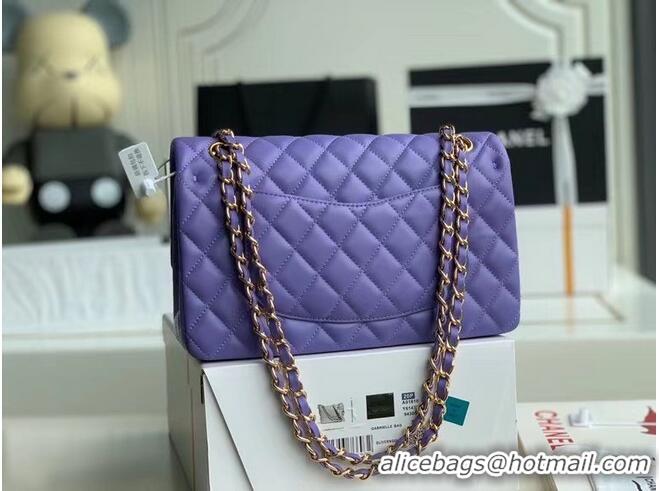 Top Discount Chanel classic handbag Lambskin & gold Metal A01112 Purple