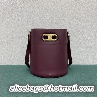 Most Popular Celine BUCKET BAG IN SHINY CALFSKIN 193043 Burgundy