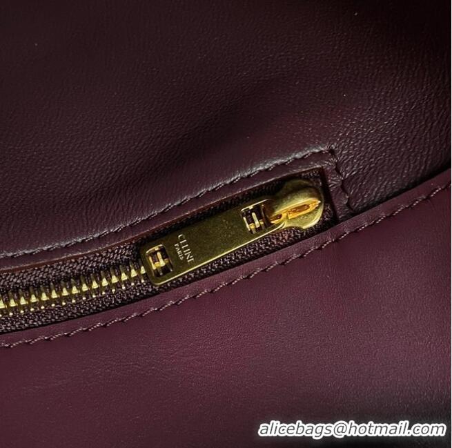 Most Popular Celine BUCKET BAG IN SHINY CALFSKIN 193043 Burgundy