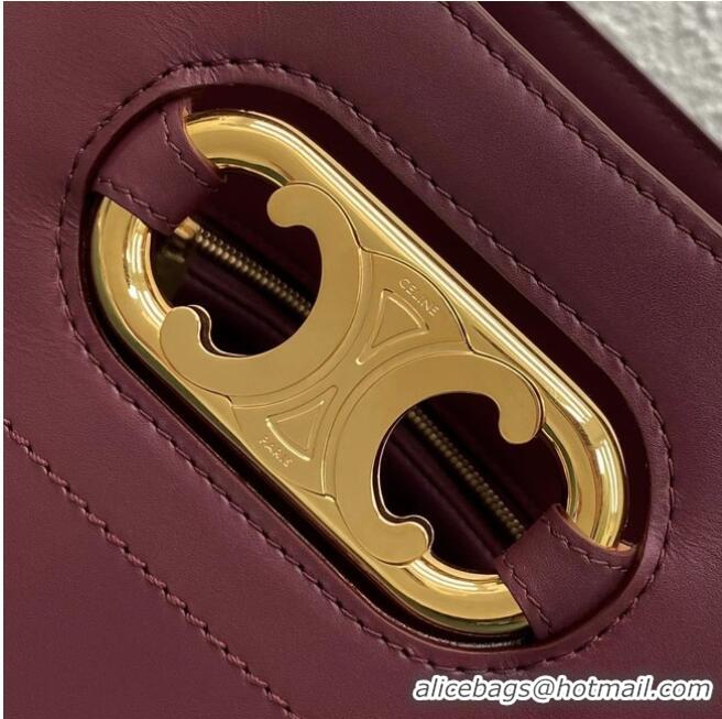 Most Popular Celine BUCKET BAG IN SHINY CALFSKIN 193043 Burgundy