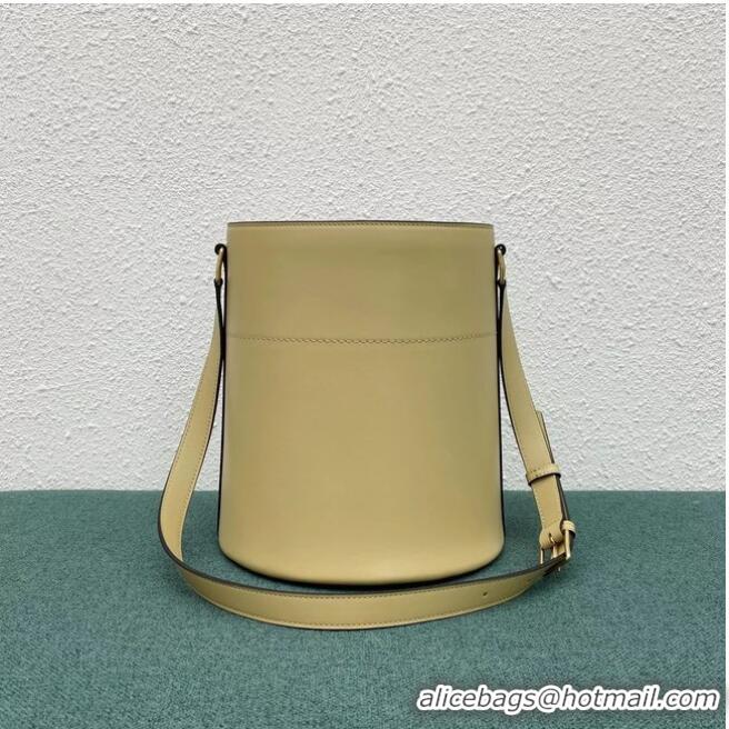 Luxury Classic Celine BUCKET BAG IN SHINY CALFSKIN 193043 cream