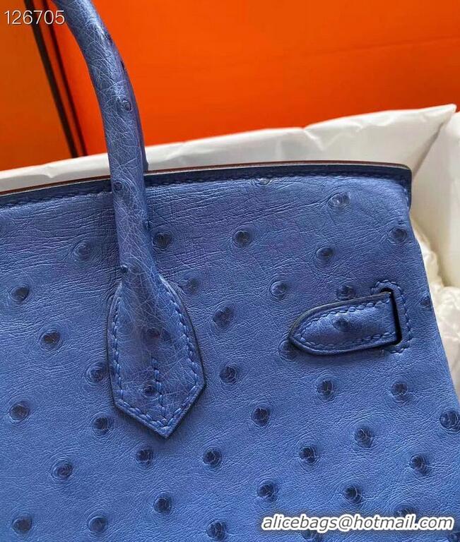 Super Quality Hermes Birkin Bag Original Leather Ostrich Skin HBK2530 Dark Blue