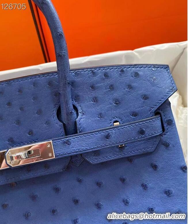 Super Quality Hermes Birkin Bag Original Leather Ostrich Skin HBK2530 Dark Blue