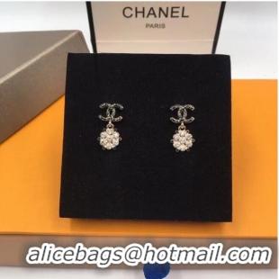 Particularly Recommended Chanel Earrings CE5976