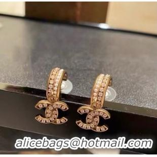 Wholesale Hot Sell Chanel Earrings CE6001